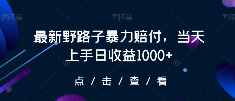 最新野路子暴力赔付，当天上手日收益1000+【仅揭秘】-副业宇宙