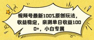 视频号最新100%原创玩法，收益稳定，亲测单日收益1000+，小白专属【揭秘】-副业宇宙