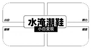 2024全新冷门水淹潮鞋无人直播玩法，小白也能轻松上手，打爆私域流量，轻松实现变现【揭秘】-副业宇宙