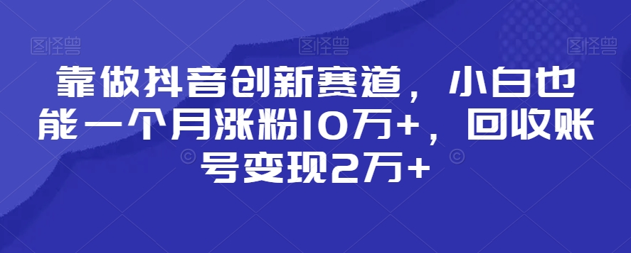 靠做抖音创新赛道，小白也能一个月涨粉10万+，回收账号变现2万+【揭秘】-副业宇宙