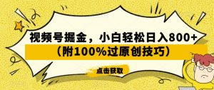 视频号掘金，小白轻松日入800+（附100%过原创技巧）【揭秘】-副业宇宙