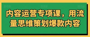 内容运营专项课,用流量思维策划爆款内容-副业宇宙