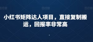 小红书矩阵达人项目,直接复制搬运,回报率非常高-副业宇宙