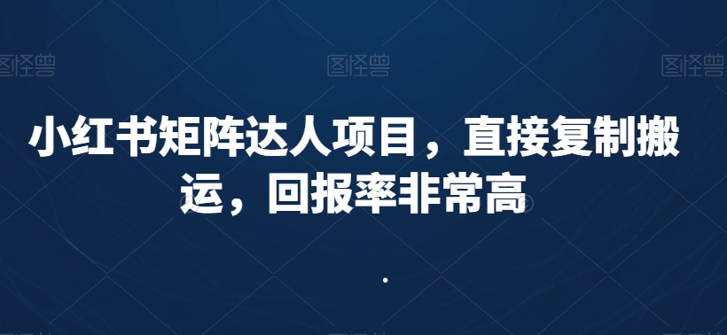 小红书矩阵达人项目，直接复制搬运，回报率非常高-副业宇宙