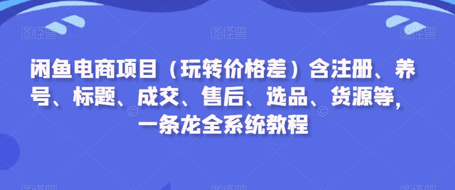 闲鱼电商项目（玩转价格差）含注册、养号、标题、成交、售后、选品、货源等，一条龙全系统教程-副业宇宙