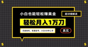 谷歌看广告撸美金2.0，无脑挂机，多号操作，月入1万刀【揭秘】-副业宇宙