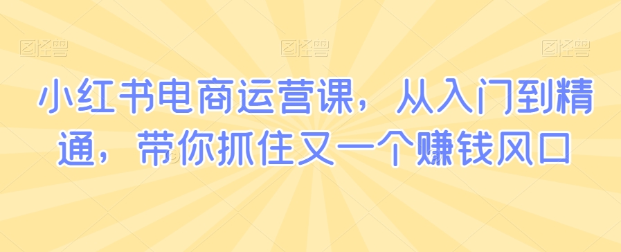 小红书电商运营课，从入门到精通，带你抓住又一个赚钱风口-副业宇宙