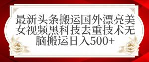 最新头条搬运国外漂亮美女视频黑科技去重技术无脑搬运日入500+【揭秘】-副业宇宙