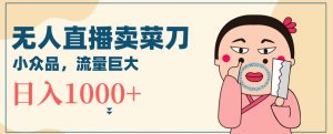 无人冷门品直播新玩法,通过卖菜刀日入1000+【揭秘】-副业宇宙