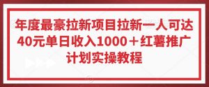 年度最豪拉新项目拉新一人可达40元单日收入1000+红薯推广计划实操教程【揭秘】-副业宇宙