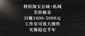 利用淘宝公域+私域差价掘金，日赚1000-5000元，工作室可放大操作，实操稳定半年【揭秘】-副业宇宙