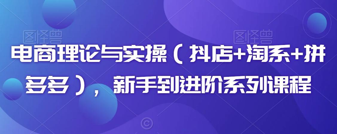 电商理论与实操（抖店+淘系+拼多多），新手到进阶系列课程-副业宇宙