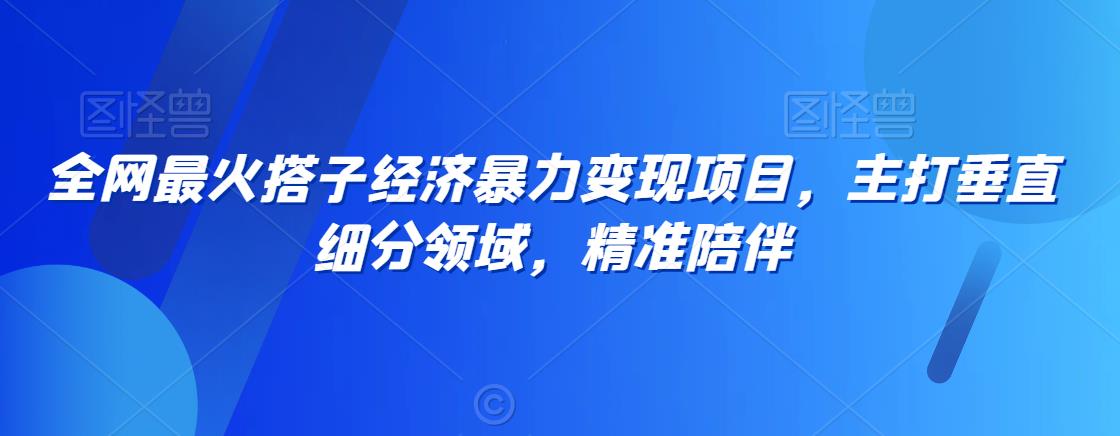 全网最火搭子经济暴力变现项目，主打垂直细分领域，精准陪伴【揭秘】-副业宇宙