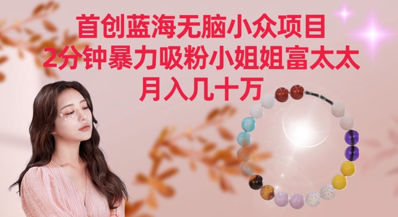 首创蓝海无脑小众项目，2分钟暴力吸粉小姐姐富太太，月入几十万【揭秘】-副业宇宙