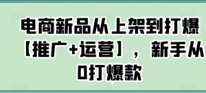 电商新品从上架到打爆【推广+运营】,新手从0打爆款-副业宇宙