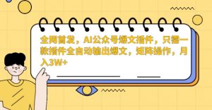 全网首发，AI公众号爆文插件，只需一款插件全自动输出爆文，矩阵操作，月入3W+【揭秘】-副业宇宙