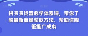 拼多多运营必学体系课,带你了解最新流量获取方法、帮助你降低推广成本-副业宇宙
