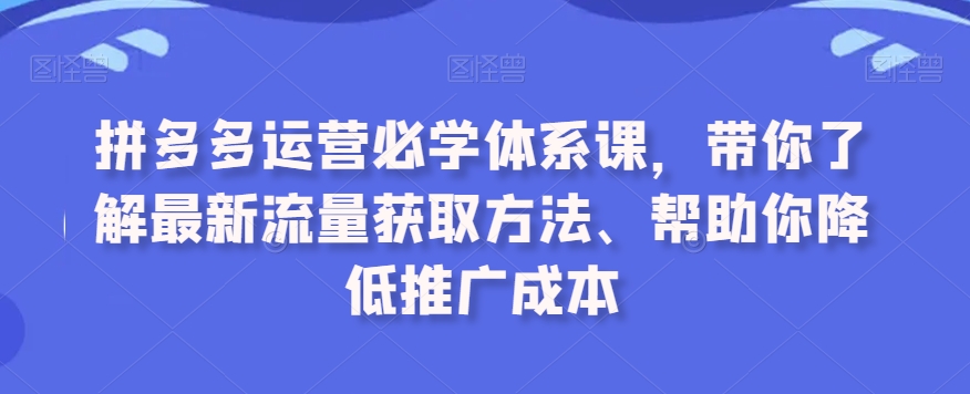 拼多多运营必学体系课，带你了解最新流量获取方法、帮助你降低推广成本-副业宇宙