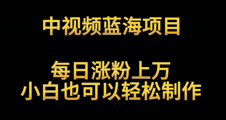 中视频蓝海项目，解读英雄人物生平，每日涨粉上万，小白也可以轻松制作，月入过万不是梦【揭秘】-副业宇宙