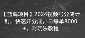 【蓝海项目】2024视频号分成计划，快速开分成，日爆单8000+，附玩法教程-副业宇宙