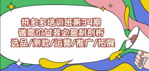 拼多多培训班第34期：做高价女装必盈利剖析选品/测款/运营/推广/拓展-副业宇宙