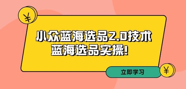 拼多多培训第33期：小众蓝海选品2.0技术-蓝海选品实操！-副业宇宙