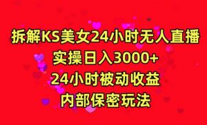 利用快手24小时无人美女直播，实操日入3000，24小时被动收益，内部保密玩法【揭秘】-副业宇宙