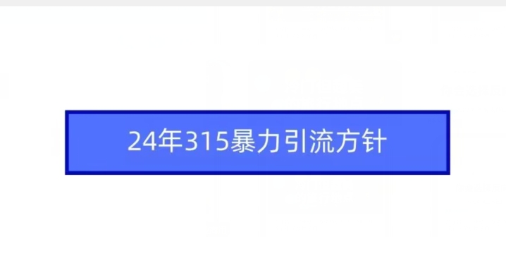 24年315暴力引流方针-副业宇宙