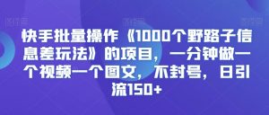 快手批量操作《1000个野路子信息差玩法》的项目，一分钟做一个视频一个图文，不封号，日引流150+【揭秘】-副业宇宙