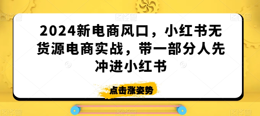 2024新电商风口，小红书无货源电商实战，带一部分人先冲进小红书-副业宇宙