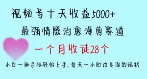 十天收益5000+，多平台捞金，视频号情感治愈漫剪，一个月收徒28个，小白一部手机轻松上手【揭秘】-副业宇宙