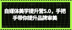 自媒体美学提升营5.0，手把手带你提升品牌审美-副业宇宙