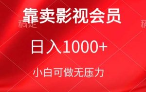 靠卖影视会员，日入1000+，落地保姆级教程，新手可学【揭秘】-副业宇宙