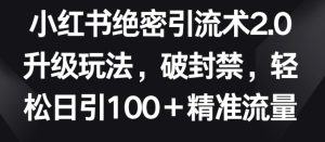 小红书绝密引流术2.0升级玩法,破封禁,轻松日引100+精准流量【揭秘】-副业宇宙