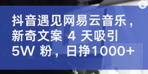 抖音遇见网易云音乐，新奇文案 4 天吸引 5W 粉，日挣1000+【揭秘】-副业宇宙