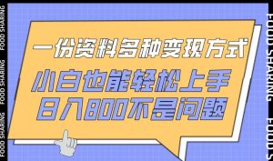 一份资料多种变现方式,小白也能轻松上手,日入800不是问题【揭秘】-副业宇宙