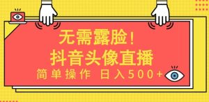 无需露脸，Ai头像直播项目，简单操作日入500+【揭秘】-副业宇宙