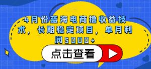 4月份蓝海电商撸收益技术，长期稳定项目，单月利润5000+【揭秘】-副业宇宙
