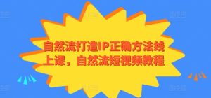 自然流打造IP正确方法线上课，自然流短视频教程-副业宇宙