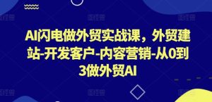 AI闪电做外贸实战课,外贸建站-开发客户-内容营销-从0到3做外贸AI-副业宇宙