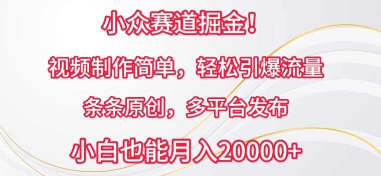 小众赛道掘金，视频制作简单，轻松引爆流量，条条原创，多平台发布【揭秘】-副业宇宙