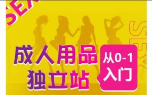 成人用品独立站从0-1入门,成品独立站运营全流程教学,七大好卖成品独立站推荐-副业宇宙