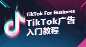 TikTok广告入门教程，从0到1掌握TikTok投放的全流程-副业宇宙