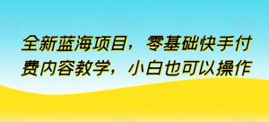 全新蓝海项目，零基础快手付费内容教学，小白也可以操作【揭秘】-副业宇宙