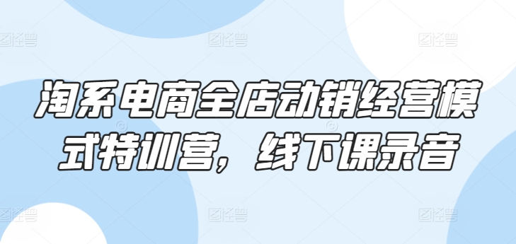 淘系电商全店动销经营模式特训营，线下课录音-副业宇宙