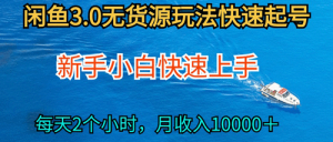 2024最新闲鱼无货源玩法，从0开始小白快手上手，每天2小时月收入过万-副业宇宙