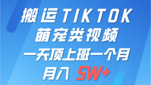 一键搬运TIKTOK萌宠类视频 一部手机即可操作 所有平台均可发布 轻松月入5W+-副业宇宙