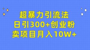 超暴力引流法，日引300+创业粉，卖项目月入10W+-副业宇宙