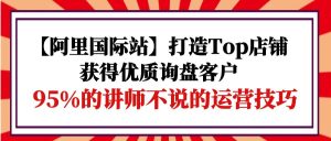 【阿里国际站】打造Top店铺-获得优质询盘客户，95%的讲师不说的运营技巧-副业宇宙