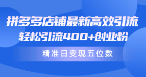拼多多店铺最新高效引流术，轻松引流400+创业粉，精准日变现五位数-副业宇宙